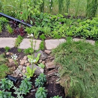 Alternative text should describe the visual content of the image.