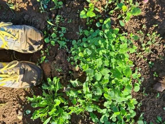 Alternative text should describe the visual content of the image.