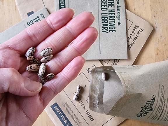 Alternative text should describe the visual content of the image.