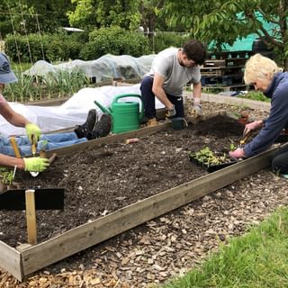 Alternative text should describe the visual content of the image.