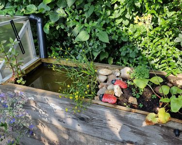 Alternative text should describe the visual content of the image.