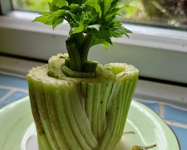 Alternative text should describe the visual content of the image.