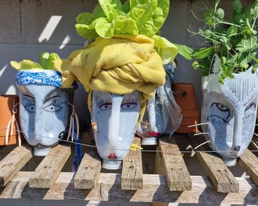 Alternative text should describe the visual content of the image.