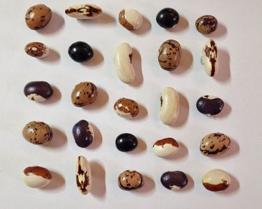 Alternative text should describe the visual content of the image.