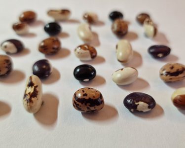 Alternative text should describe the visual content of the image.