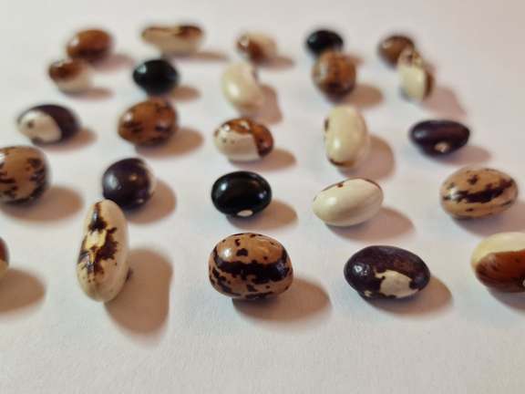 Alternative text should describe the visual content of the image.