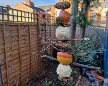 Alternative text should describe the visual content of the image.