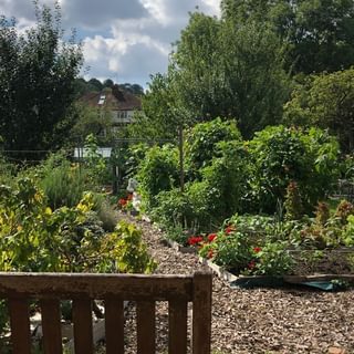 Alternative text should describe the visual content of the image.