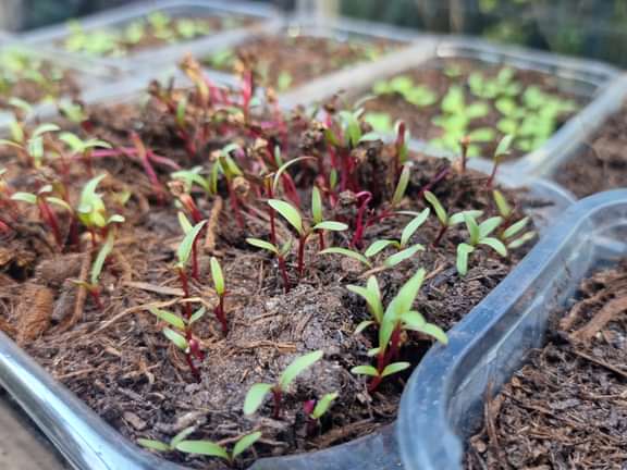 Alternative text should describe the visual content of the image.