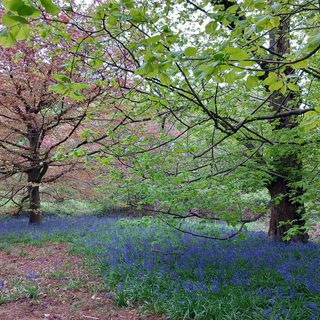 Alternative text should describe the visual content of the image.