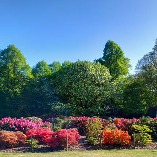 Alternative text should describe the visual content of the image.