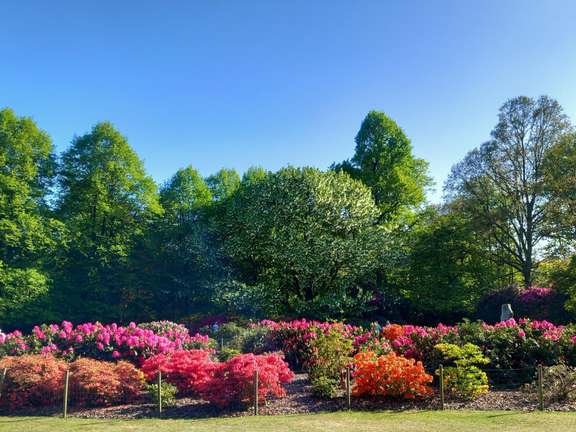 Alternative text should describe the visual content of the image.