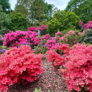 Alternative text should describe the visual content of the image.