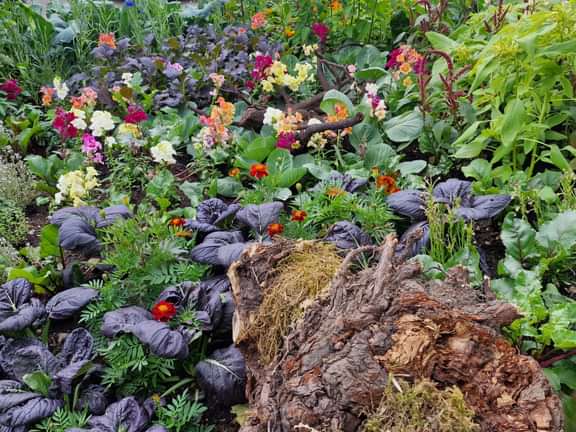 Alternative text should describe the visual content of the image.