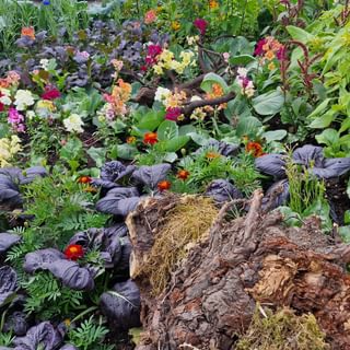 Alternative text should describe the visual content of the image.