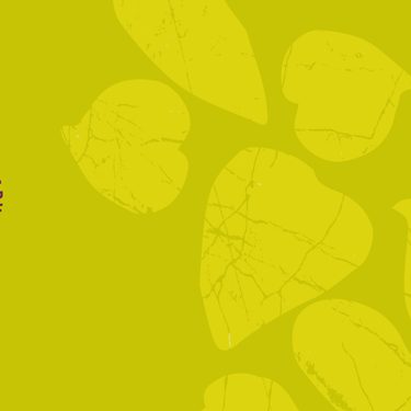 Alternative text should describe the visual content of the image.