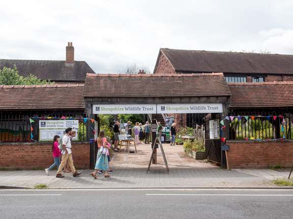 Alternative text should describe the visual content of the image.