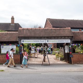 Alternative text should describe the visual content of the image.