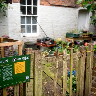 Alternative text should describe the visual content of the image.