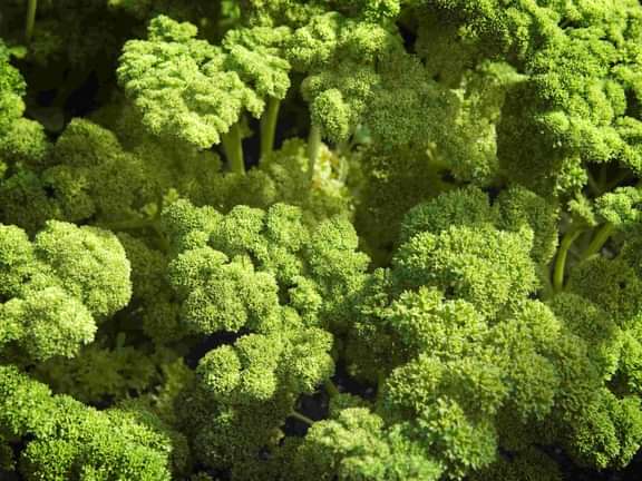 Alternative text should describe the visual content of the image.