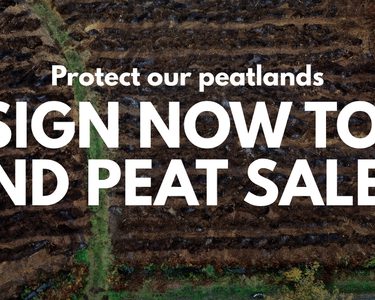 Alternative text should describe the visual content of the image.