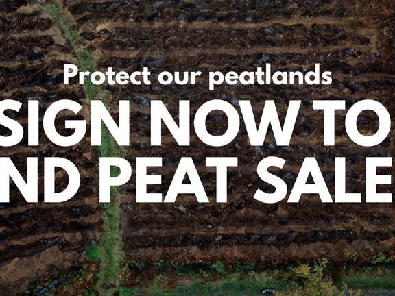 Alternative text should describe the visual content of the image.