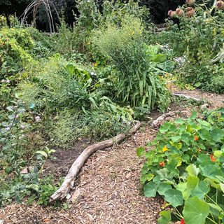 Alternative text should describe the visual content of the image.