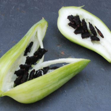 Alternative text should describe the visual content of the image.