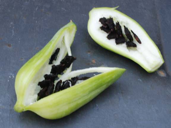 Alternative text should describe the visual content of the image.