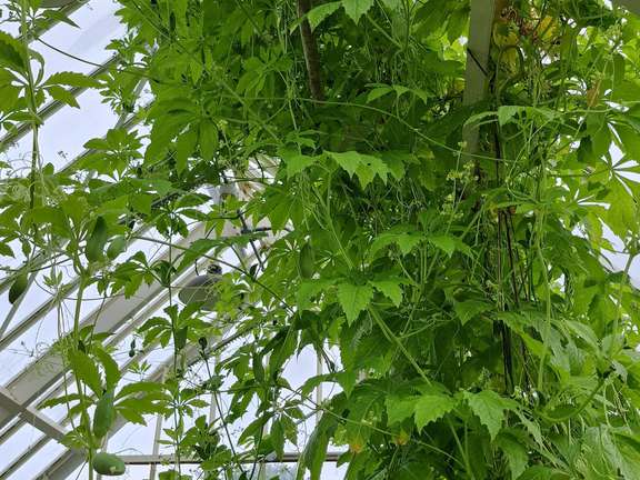 Alternative text should describe the visual content of the image.