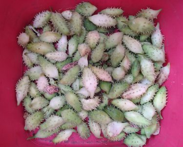 Alternative text should describe the visual content of the image.