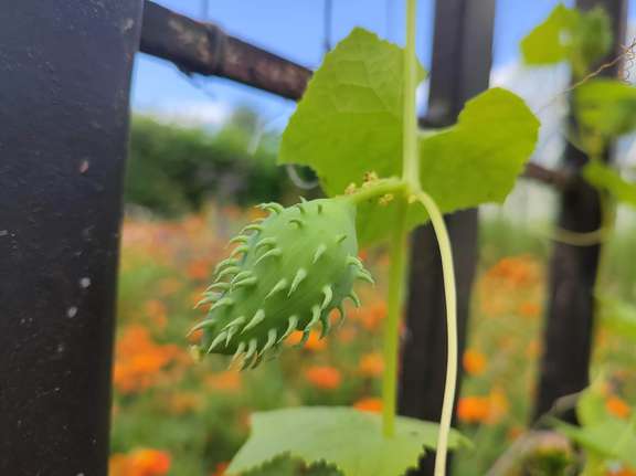 Alternative text should describe the visual content of the image.