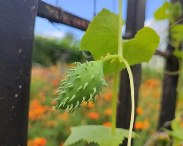 Alternative text should describe the visual content of the image.