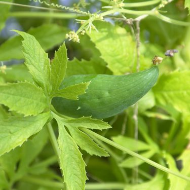 Alternative text should describe the visual content of the image.