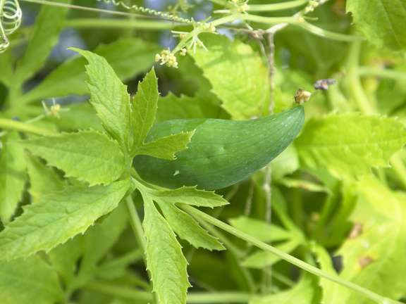 Alternative text should describe the visual content of the image.