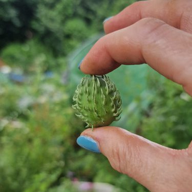 Alternative text should describe the visual content of the image.