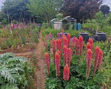 Alternative text should describe the visual content of the image.