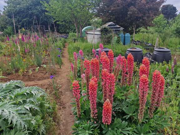 Alternative text should describe the visual content of the image.