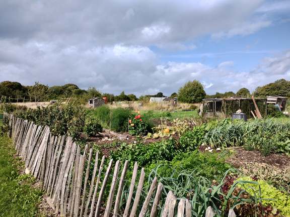 Alternative text should describe the visual content of the image.