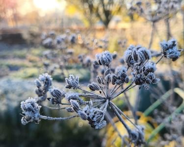 Alternative text should describe the visual content of the image.