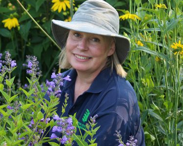 Alternative text should describe the visual content of the image.