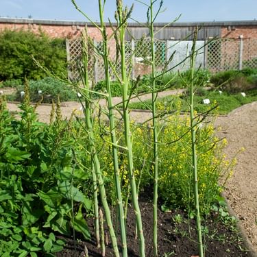 Alternative text should describe the visual content of the image.