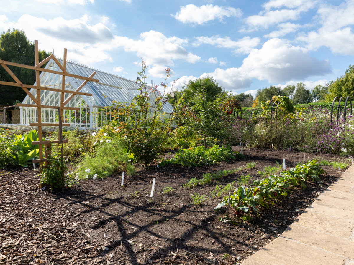 Vegetable growing area