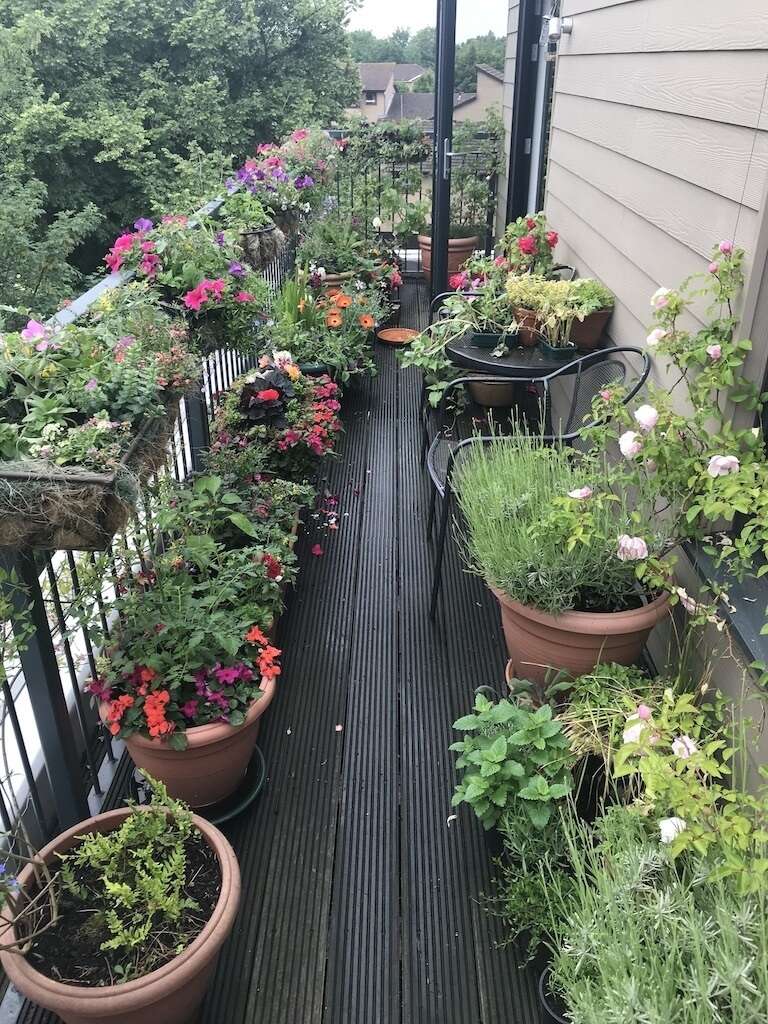 Growing in pots on a balcony
