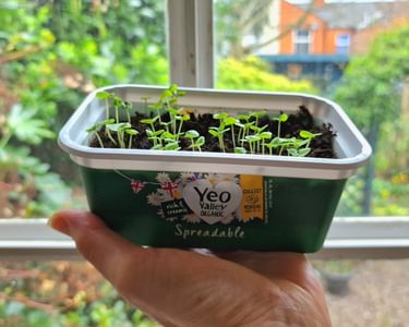 Alternative text should describe the visual content of the image.