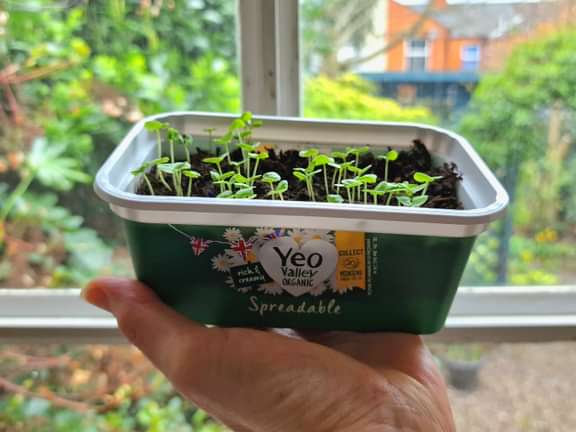 Alternative text should describe the visual content of the image.