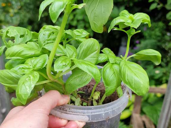 Alternative text should describe the visual content of the image.