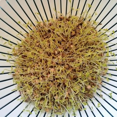 Alternative text should describe the visual content of the image.