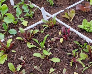 Alternative text should describe the visual content of the image.