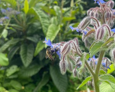 Alternative text should describe the visual content of the image.